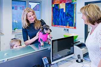 Tierarzt Besserer Neuss · Empfang in der Praxis - Terrier