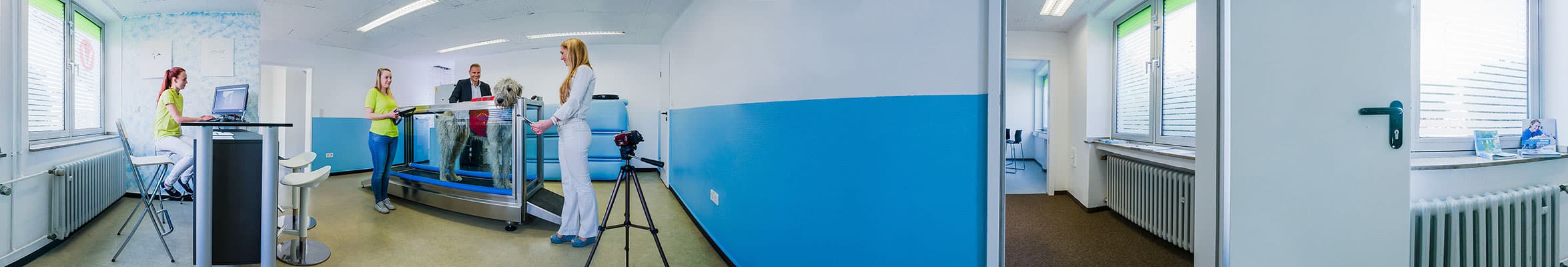 Tierarzt Besserer: Physiotherapie Praxis Panorama