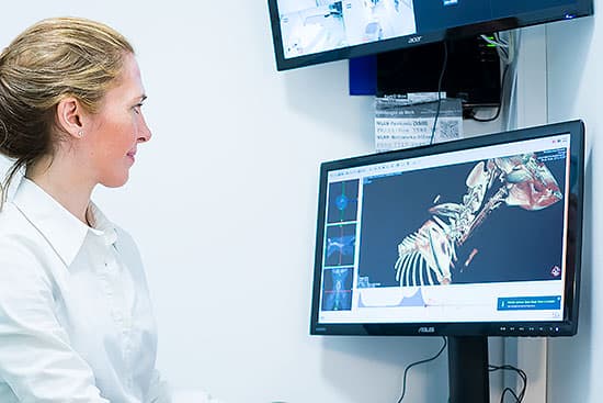 Tierarzt Besserer: Bildgebende Diagnostik - CT-Monitor