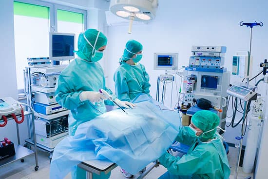 Tierarzt Besserer: Bildgebende Diagnostik - Röntgen