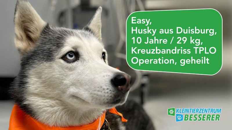 Tierarzt-Besserer_Fernseh-Show_Easy_KW05.23