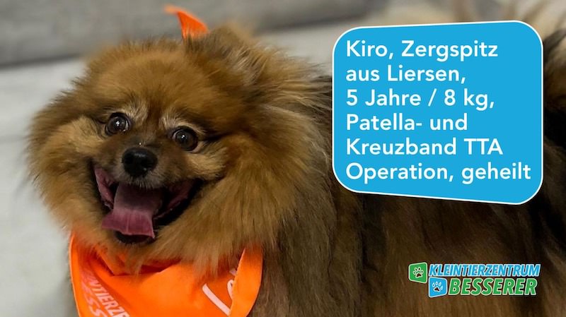 Tierarzt-Besserer_Fernseh-Show_Kiro_KW05.23