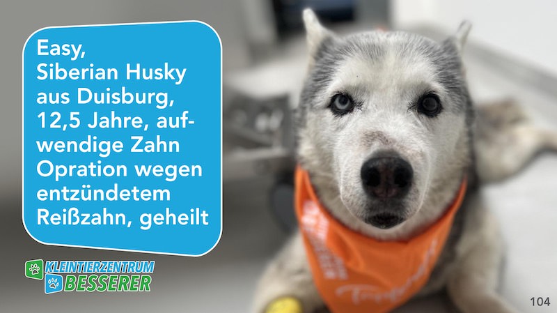 Tierarzt-Besserer_Slide_104_Easy_KW28.25