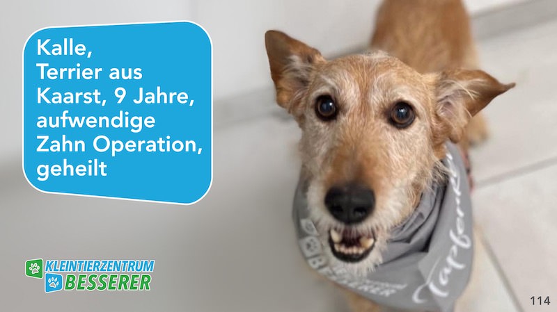 Tierarzt-Besserer_Slide_114_Kalle_KW30.25