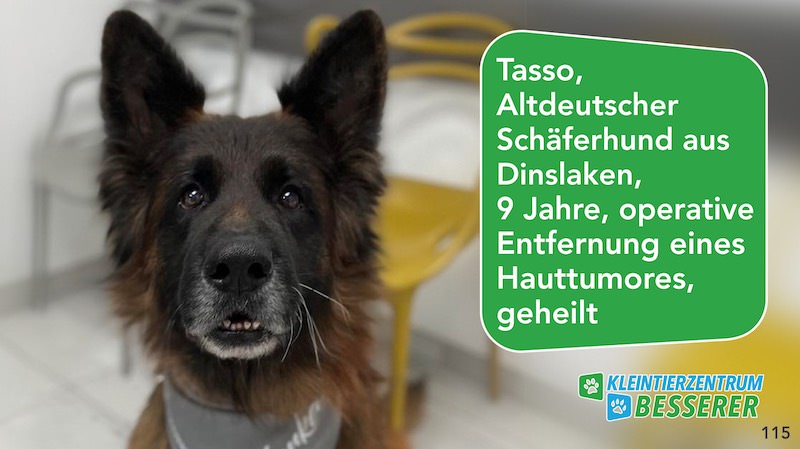 Tierarzt-Besserer_Slide_115_Tasso_KW30.25