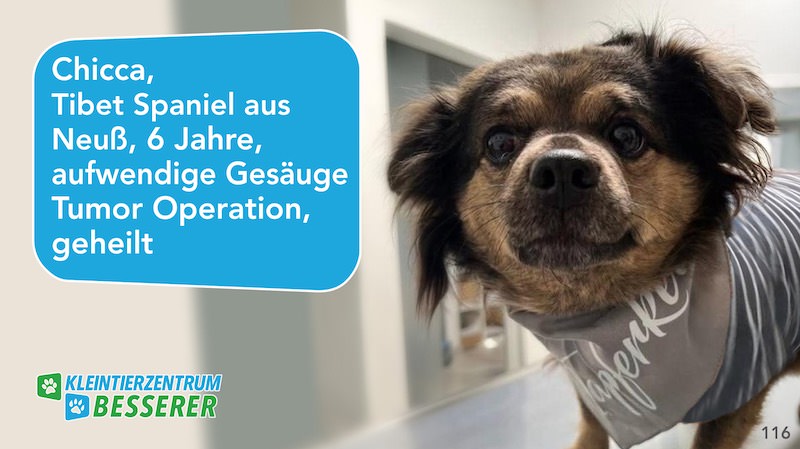 Tierarzt-Besserer_Slide_116_Chicca_KW31.25