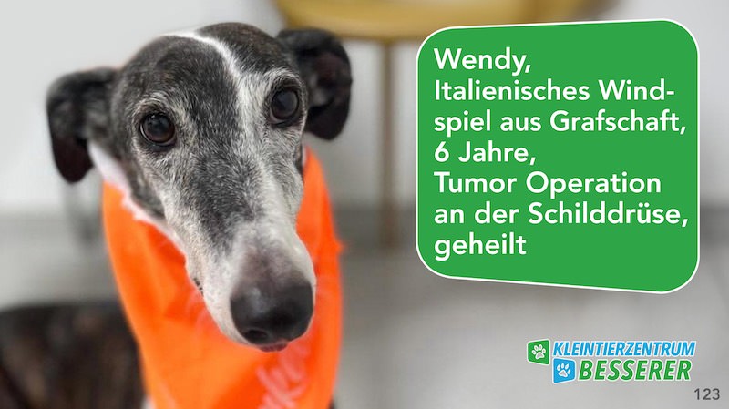 Tierarzt-Besserer_Slide_123_Wendy_KW31.25