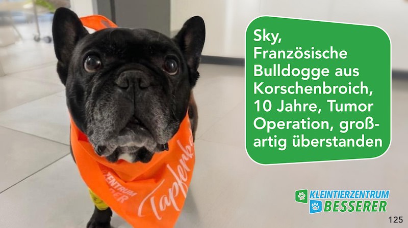 Tierarzt-Besserer_Slide_125_Sky_KW31.25