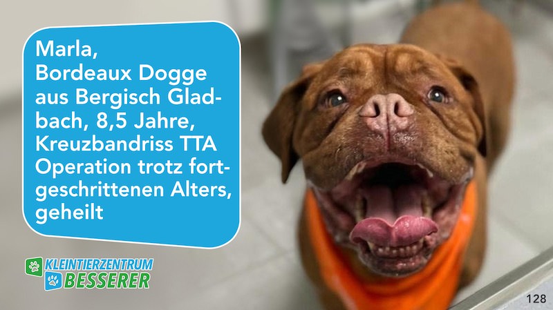 Tierarzt-Besserer_Slide_128_Marla_KW34.25