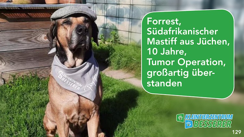 Tierarzt-Besserer_Slide_129_Forrest_KW34.25