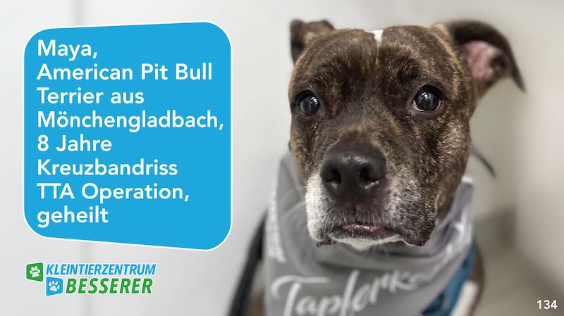 Tierarzt-Besserer_Slide_134_Maya_KW34.25