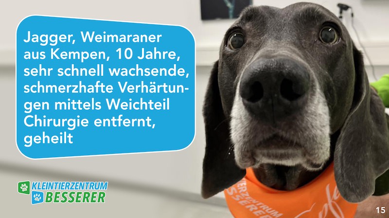 Tierarzt-Besserer_Slide_15_Jagger_KW12.25