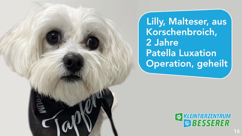 Tierarzt-Besserer_Slide_16_Lilly_KW14.25