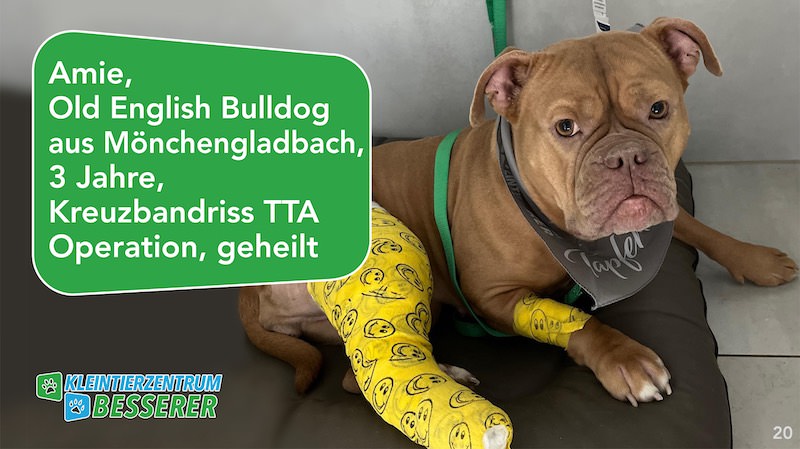 Tierarzt-Besserer_Slide_20_Amie_KW14.25