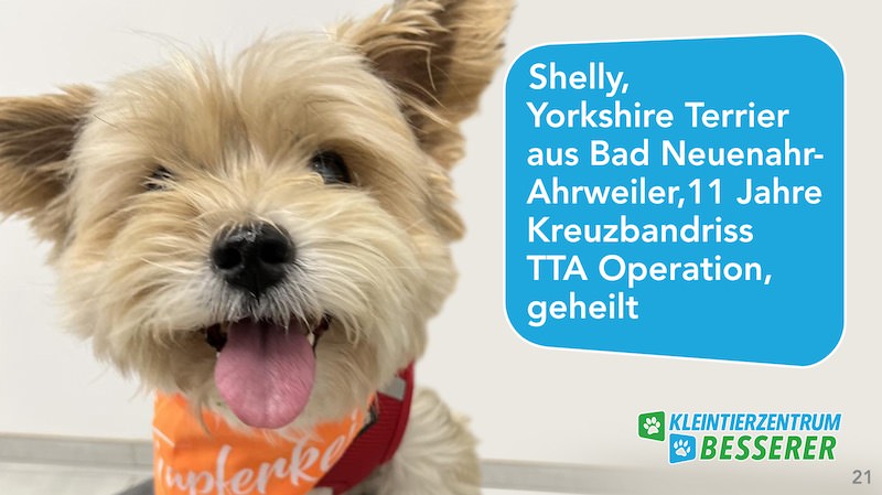 Tierarzt-Besserer_Slide_21_Shelly_KW15.25