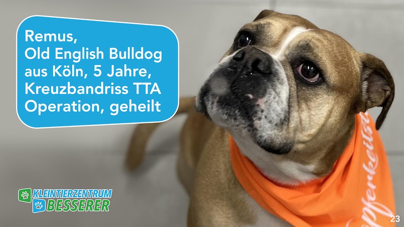 Tierarzt-Besserer_Slide_23_Remus_KW15.25