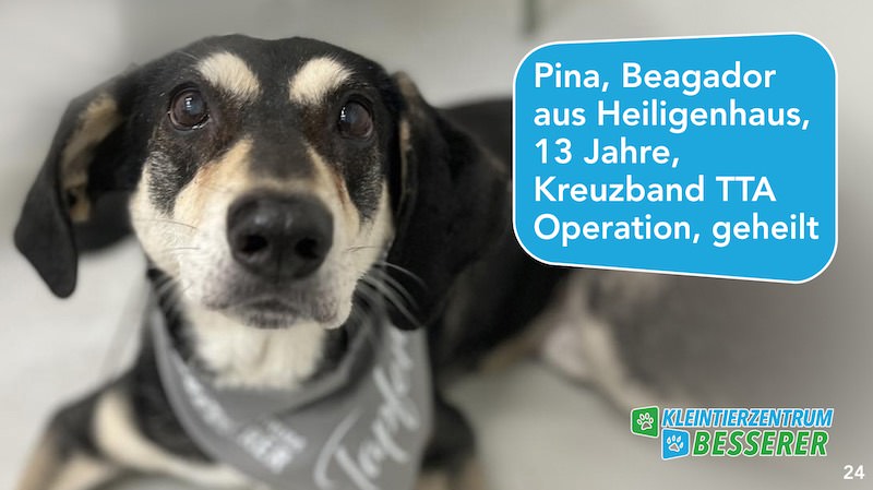 Tierarzt-Besserer_Slide_24_Pina_KW15.25