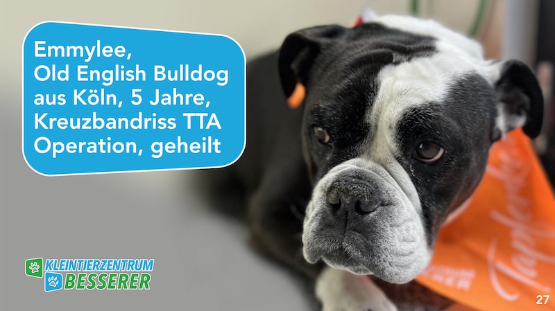 Tierarzt-Besserer_Slide_27_Emmylee_KW17.25