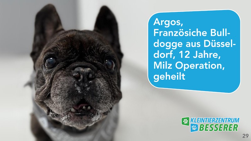 Tierarzt-Besserer_Slide_29_Argos_KW17.25