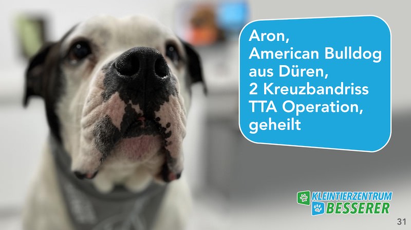 Tierarzt-Besserer_Slide_31_Aron_KW17.25