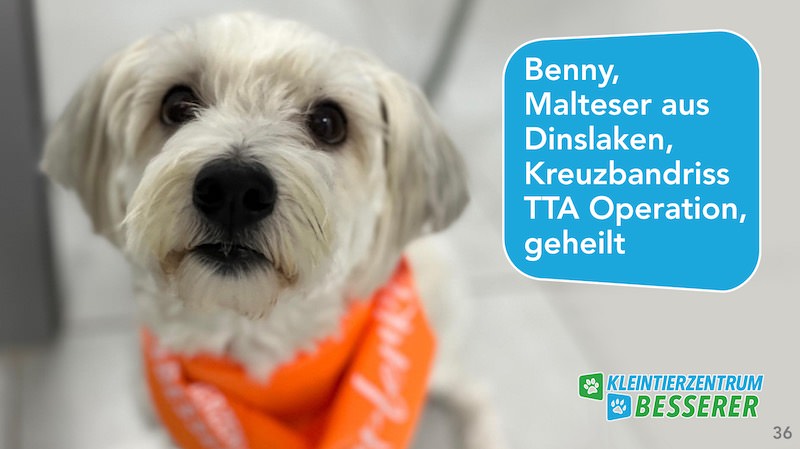 Tierarzt-Besserer_Slide_36_Benny_KW19.25