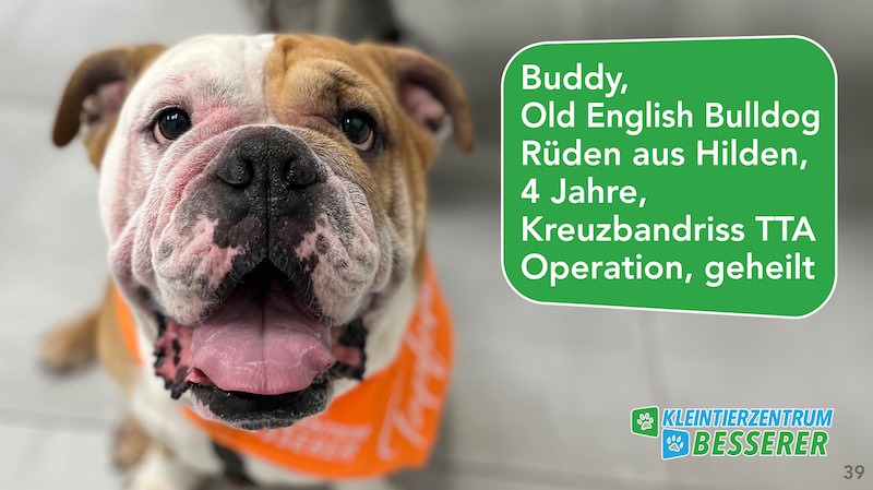 Tierarzt-Besserer_Slide_39_Buddy_KW19.25