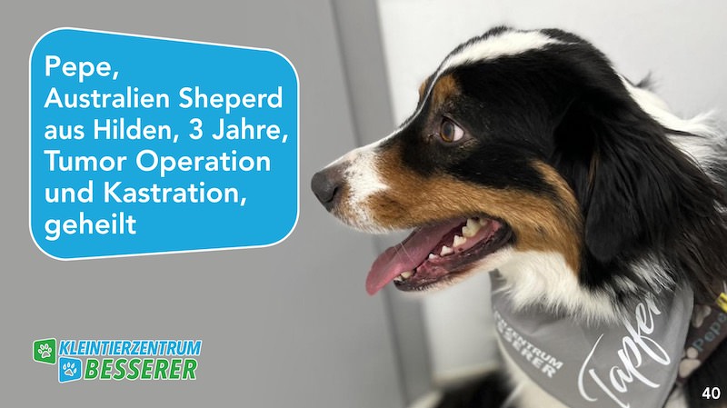 Tierarzt-Besserer_Slide_40_Pepe_KW19.25