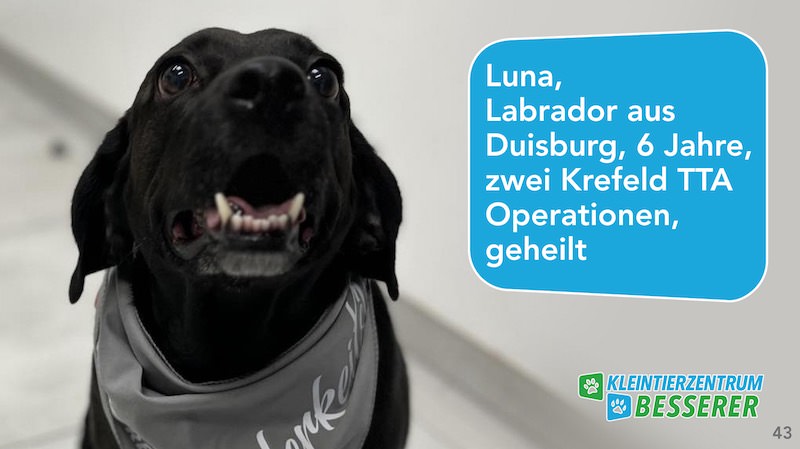 Tierarzt-Besserer_Slide_43_Luna_KW19.25