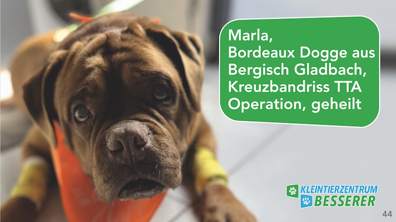 Tierarzt-Besserer_Slide_44_Marla_KW19.25