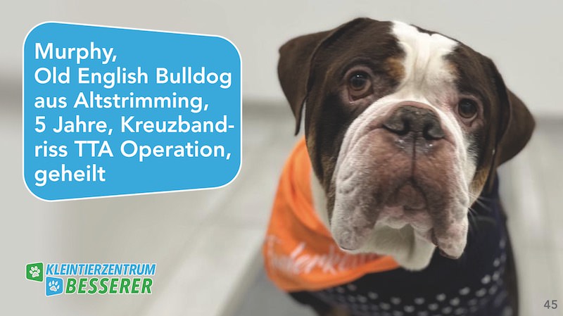 Tierarzt-Besserer_Slide_45_Murphy_KW19.25