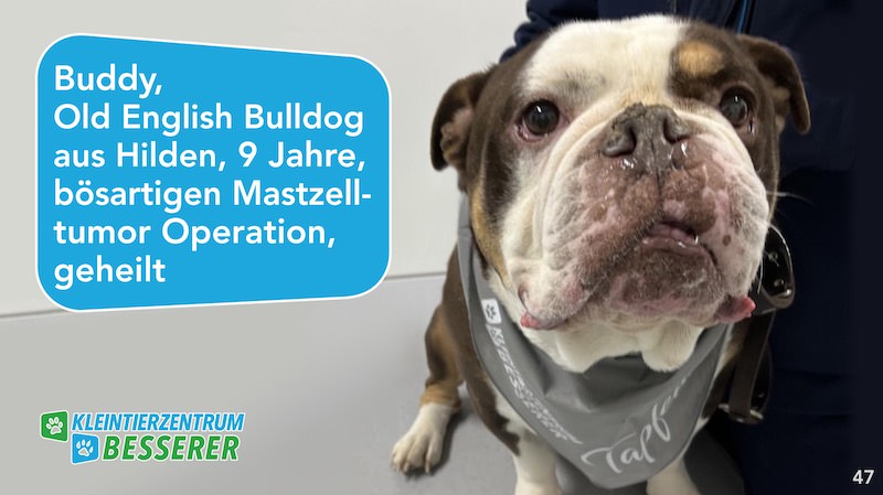 Tierarzt-Besserer_Slide_47_Buddy_KW21.25