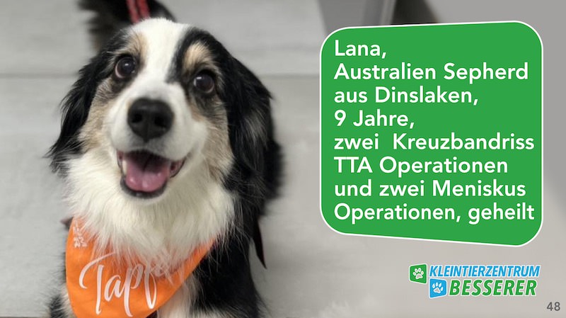 Tierarzt-Besserer_Slide_48_Lana_KW21.25