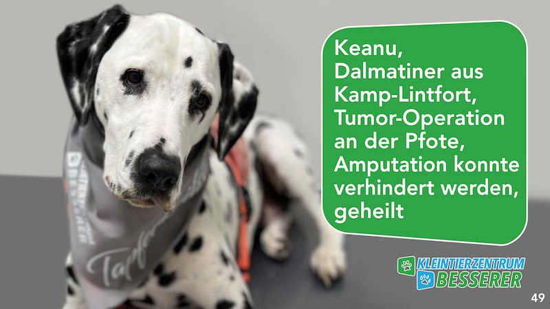 Tierarzt-Besserer_Slide_49_Keanu_KW21.25