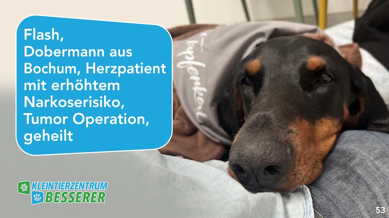 Tierarzt-Besserer_Slide_53_Flash_KW21.25