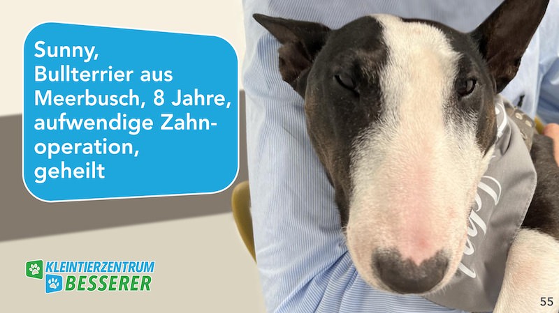 Tierarzt-Besserer_Slide_55_Sunny_KW21.25
