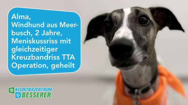 Tierarzt-Besserer_Slide_5_Alma_KW12.25