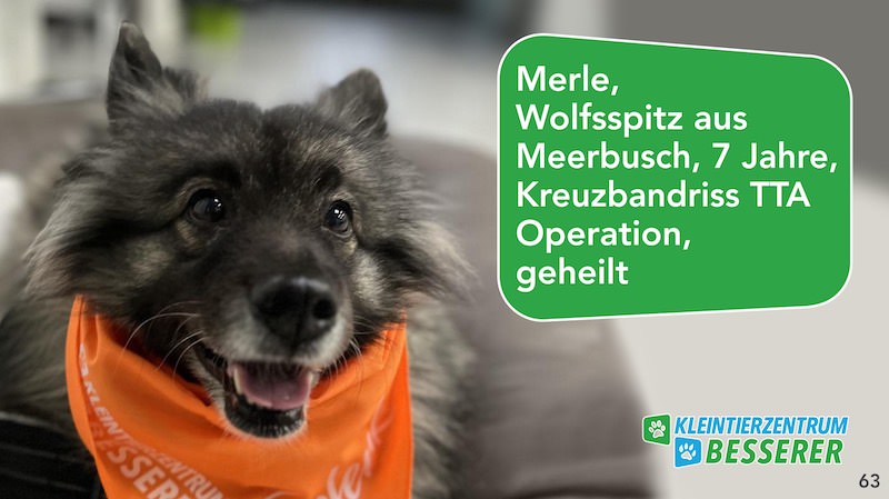 Tierarzt-Besserer_Slide_63_Merle_KW23.25