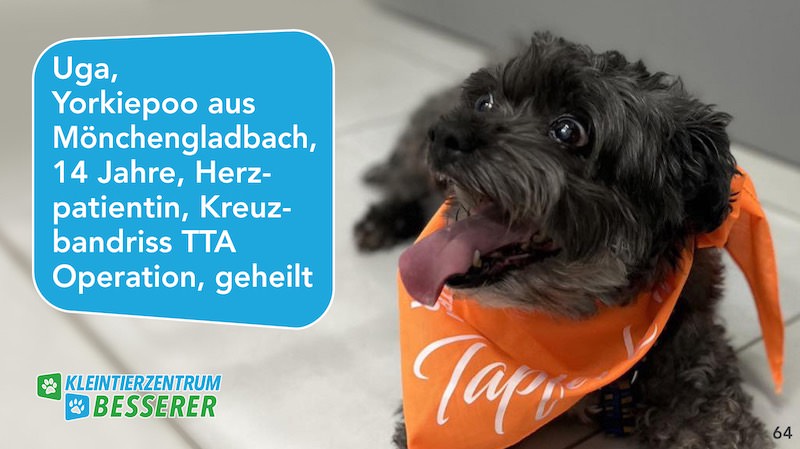 Tierarzt-Besserer_Slide_64_Uga_KW23.25