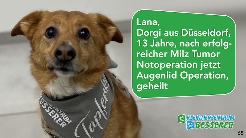 Tierarzt-Besserer_Slide_65_Lana_KW23.25