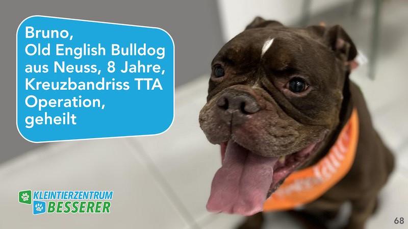 Tierarzt-Besserer_Slide_68_Bruno_KW24.25