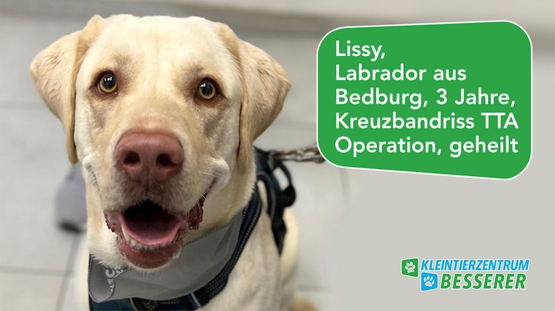 Tierarzt-Besserer_Slide_6_Lissy_KW12.25
