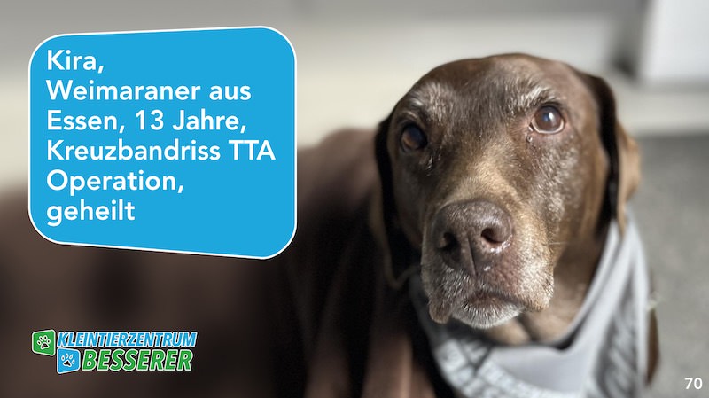 Tierarzt-Besserer_Slide_70_Kira_KW24.25