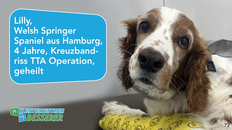 Tierarzt-Besserer_Slide_72_Lilly_KW24.25