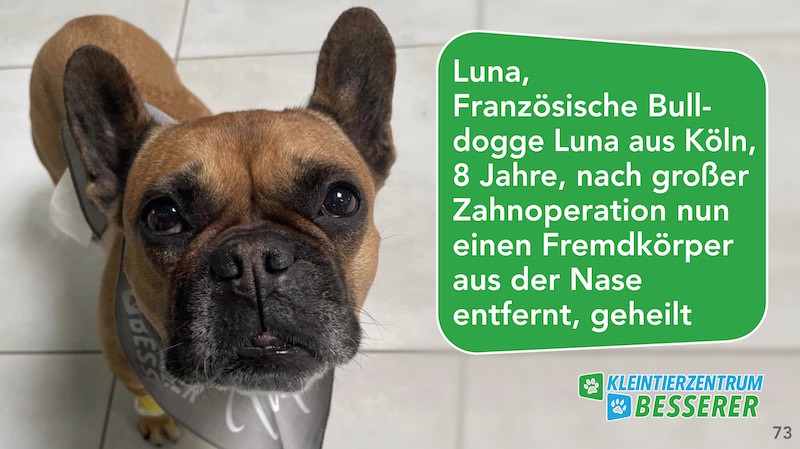 Tierarzt-Besserer_Slide_73_Luna_KW24.25