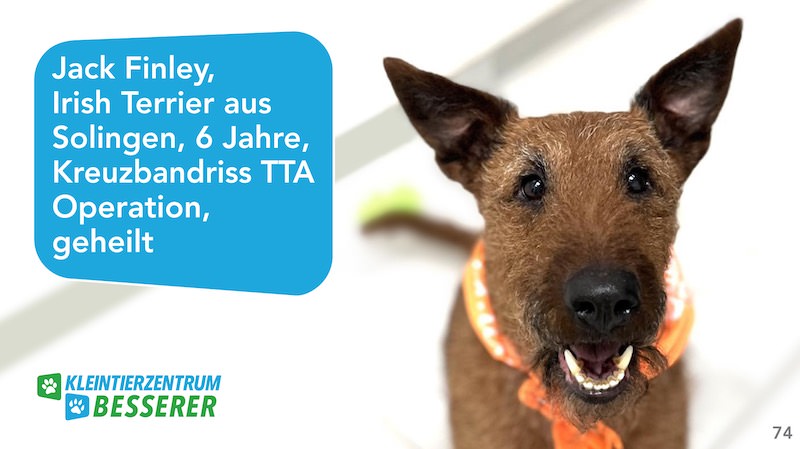 Tierarzt-Besserer_Slide_74_Jack-Finley_KW24.25