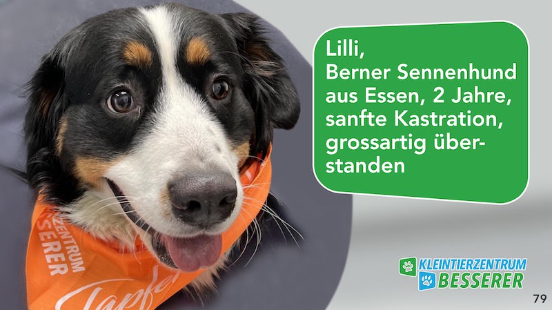 Tierarzt-Besserer_Slide_79_Lilli_KW25.25