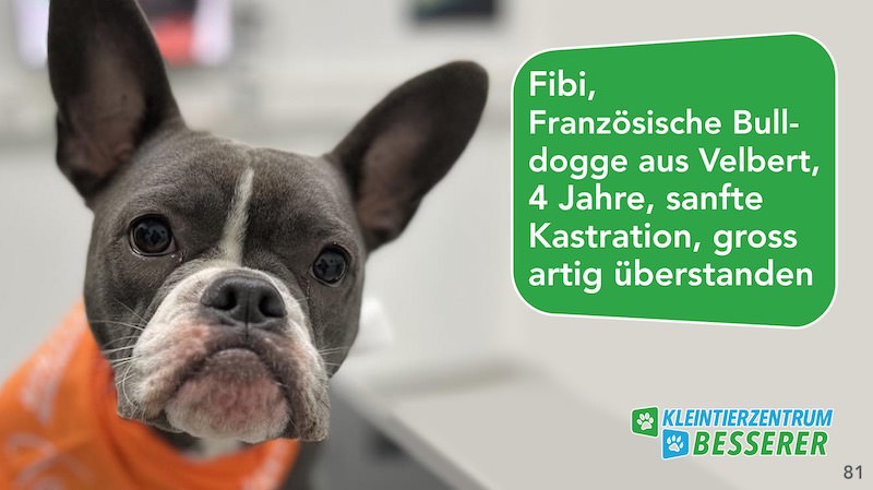Tierarzt-Besserer_Slide_81_Fibi_KW25.25