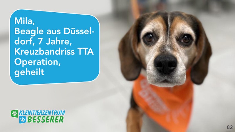Tierarzt-Besserer_Slide_82_Mila_KW25.25