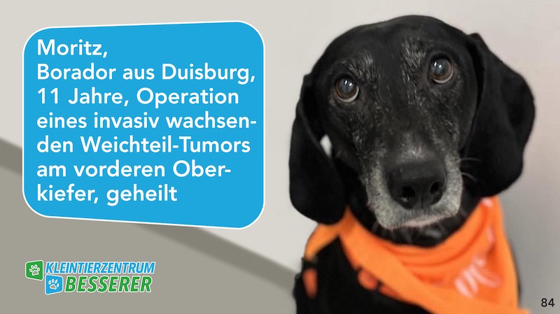 Tierarzt-Besserer_Slide_84_Moritz_KW25.25