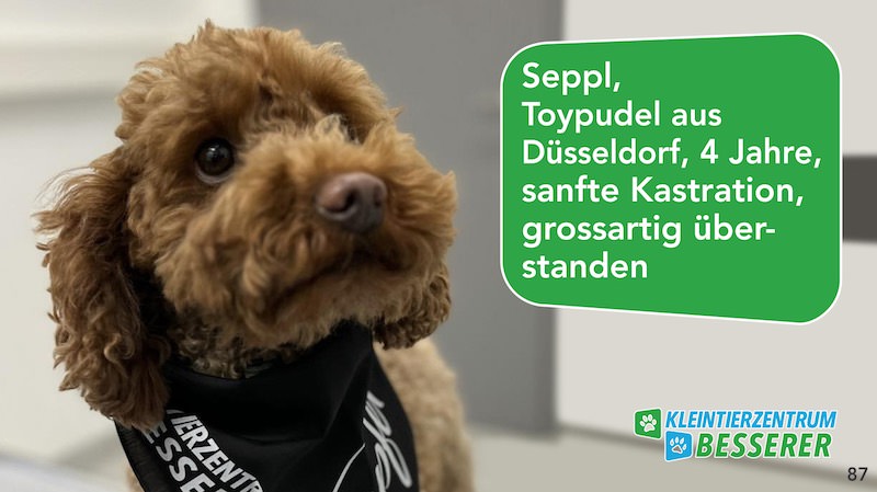 Tierarzt-Besserer_Slide_87_Seppl_KW28.25